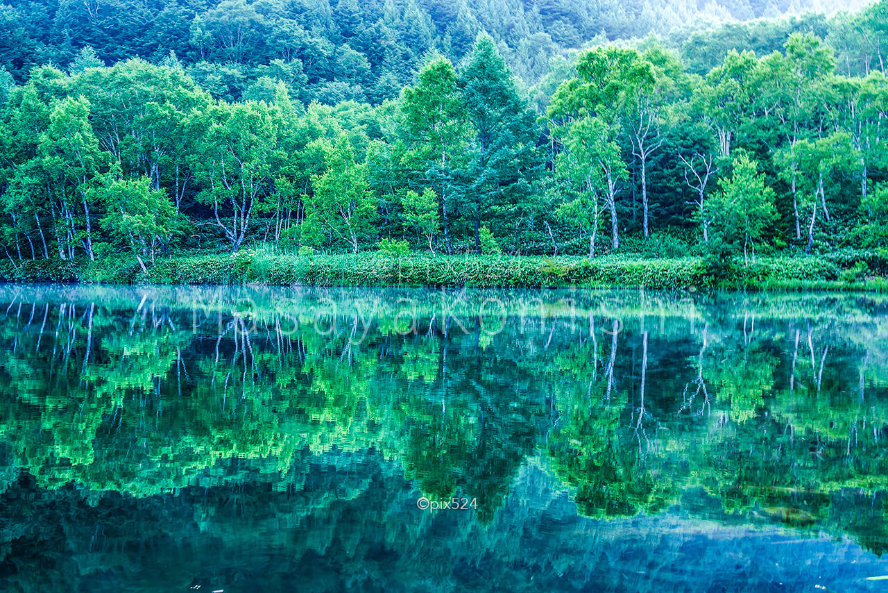 映える緑の木々と池への映り込み 朝の風景撮影がお勧めの木戸池